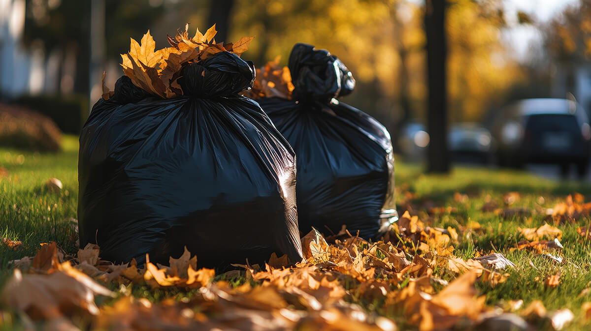 Black plastic bags with tree leaves.